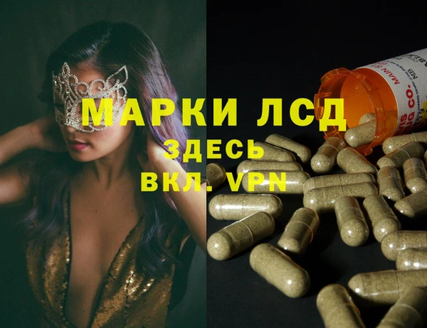 спиды Кущёвская