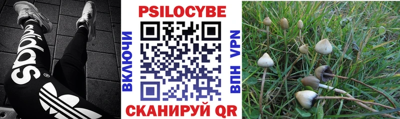 Псилоцибиновые грибы Magic Shrooms Купить Красноуральск
